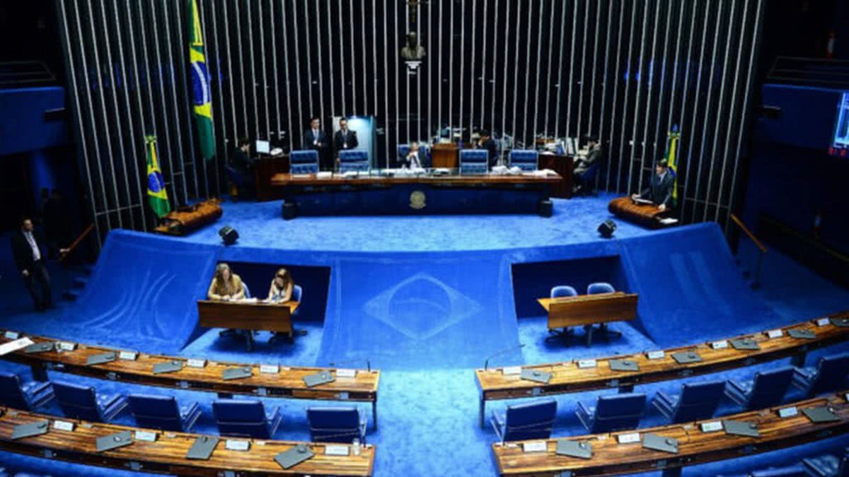 Morte De Rifeiros Senadores Baianos Reagem A PL Que Legaliza Jogos De