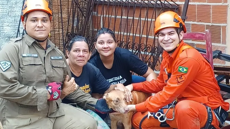 Cadela é resgatada de poço 15 metros de profundidade veja foto