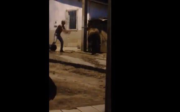 Itamaraju Vizinhos Filmam Jovem Espancando Cavalo Amarrado Em Poste