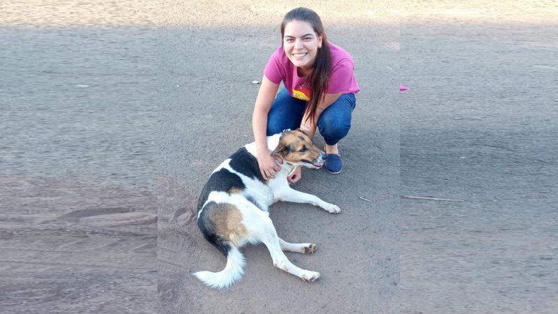 Cachorro Abandonado Placa Dono Foi Para Asilo Adotado