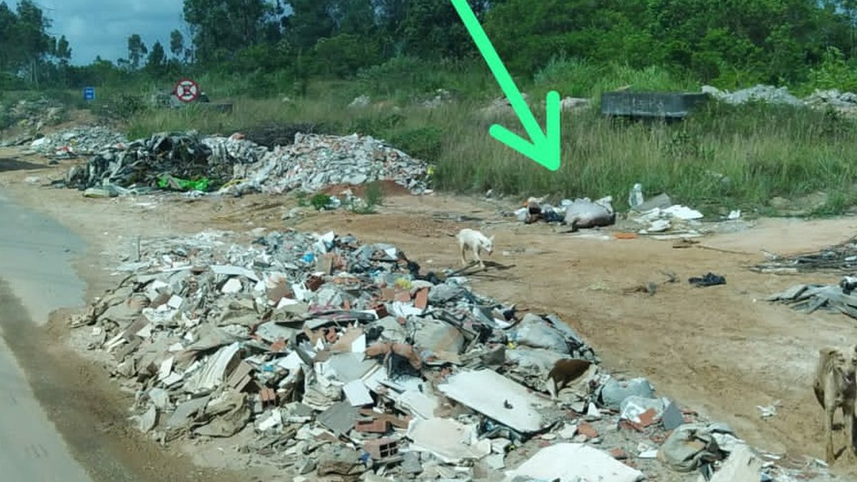 Corpo esquartejado é encontrado em rodovia da Bahia