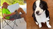 Reprodução/TikTok @palmspringsanimalshelter