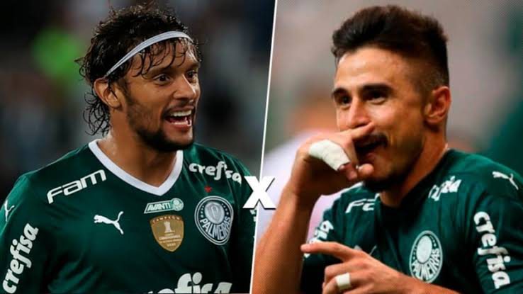 Palmeiras | Divulgação