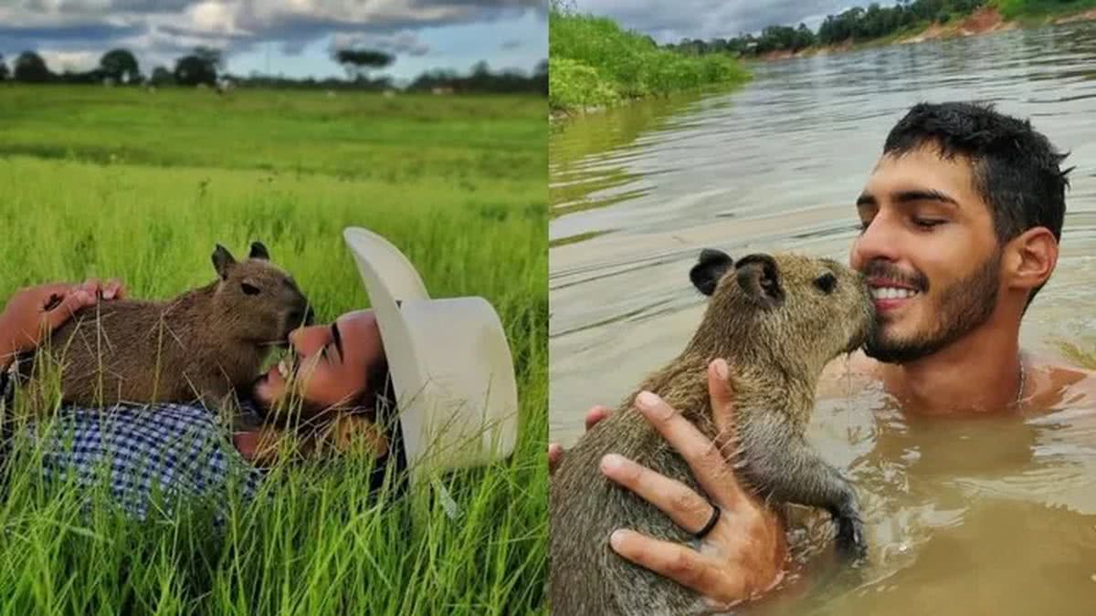 Capivara Filó: Bolsonaristas usam caso contra Ibama - 30/04/2023 - Ambiente  - Folha