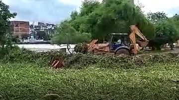 Trator que deveria levar vegetação às caçambas, devolveu material ao rio - Reprodução