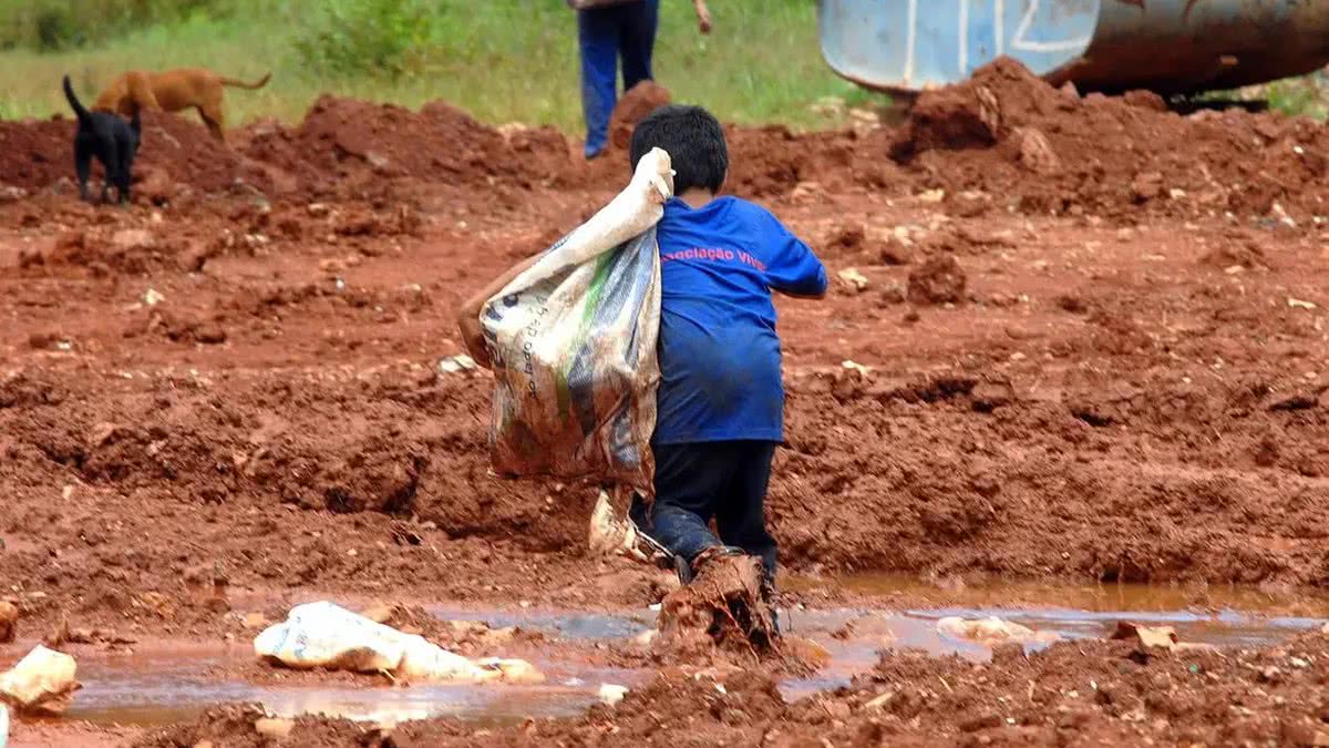 Trabalho Infantil Cresceu No Governo Bolsonaro Aponta Pesquisa Do Ibge