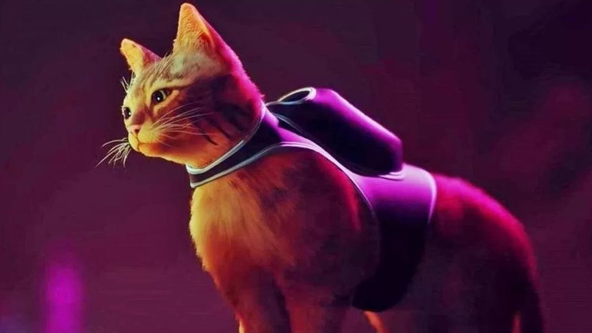 Stray: Conheça o gato que serviu de inspiração para protagonista do jogo