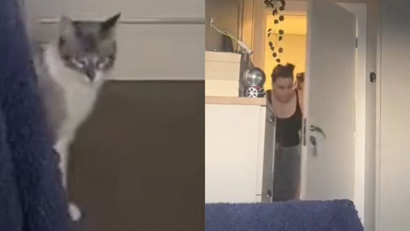 filha da pota gato galactico｜TikTok Search