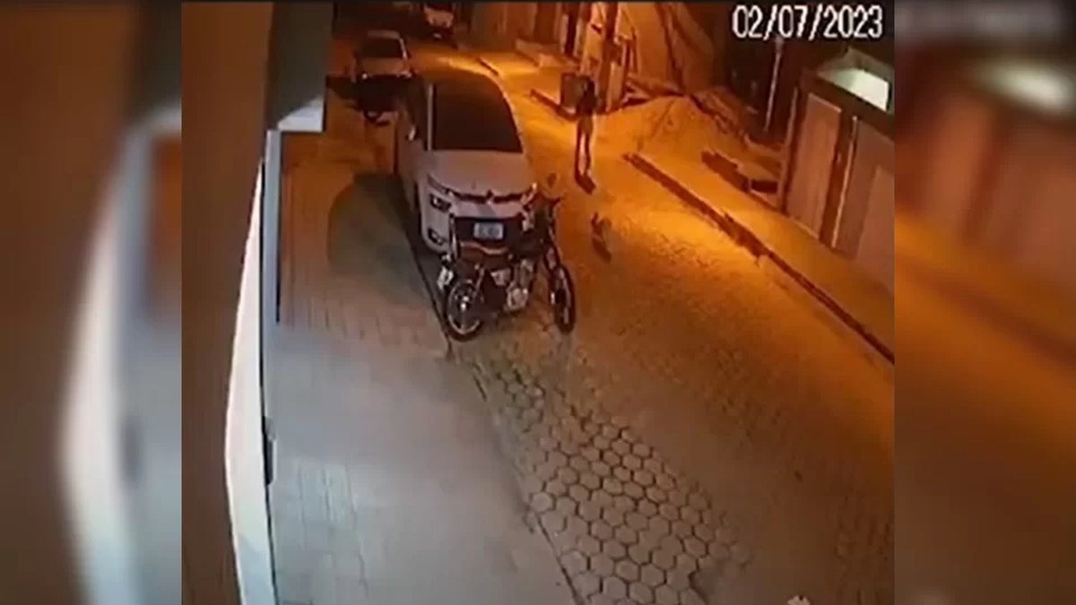 VÍDEO Mulher morre após salvar cachorro de atropelamento