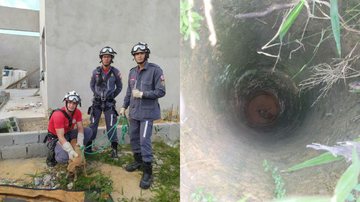 Divulgação / Corpo de Bombeiros