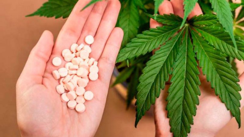 Anvisa Simplifica Regras Para Que Pacientes Importem Medicamentos à Base De Cannabis 9727