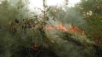 Divulgação/Bombeiros do Pará