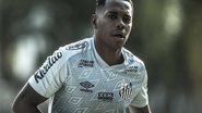 Ivan Storti/Santos FC