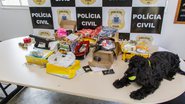 Divulgação/ Polícia Civil