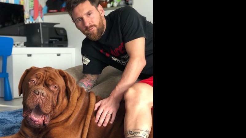 Hulk. O cão de Messi que faz furor nas redes sociais – Observador