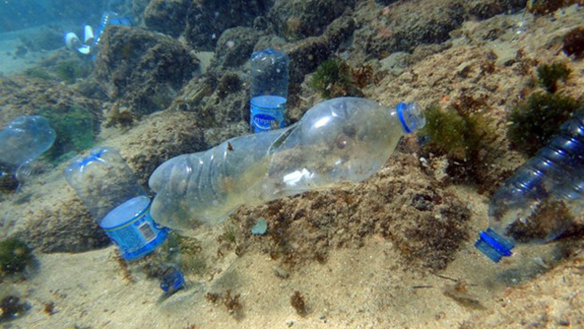 Expedição encontra sacos de lixo em primeira visita ao fundo do mar