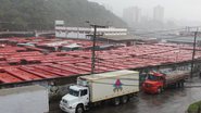 Imagem Dia Nacional de Luta: rodoviários cruzam os braços na manhã desta quinta