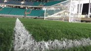Imagem 100º gol da Arena Fonte Nova pode sair no BaVi deste domingo
