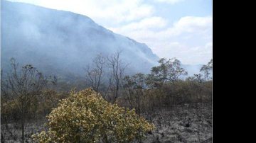 Imagem Incêndio florestal gera riscos em 60 municípios