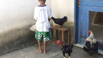 Imagem Criança de 11 anos é apreendida 62 vezes na Bahia