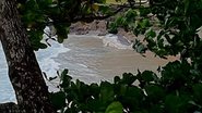 Imagem  Baleia é encontrada morta na praia da Ondina