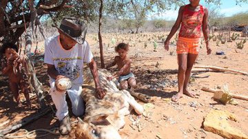 Imagem Faeb divulga avaliação dos prejuízos da seca bahia