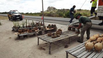 Imagem Vendedores de plantas são multados em R$ 1 milhão