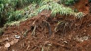 Imagem Deslizamento de terra gera mais transtornos no Canela