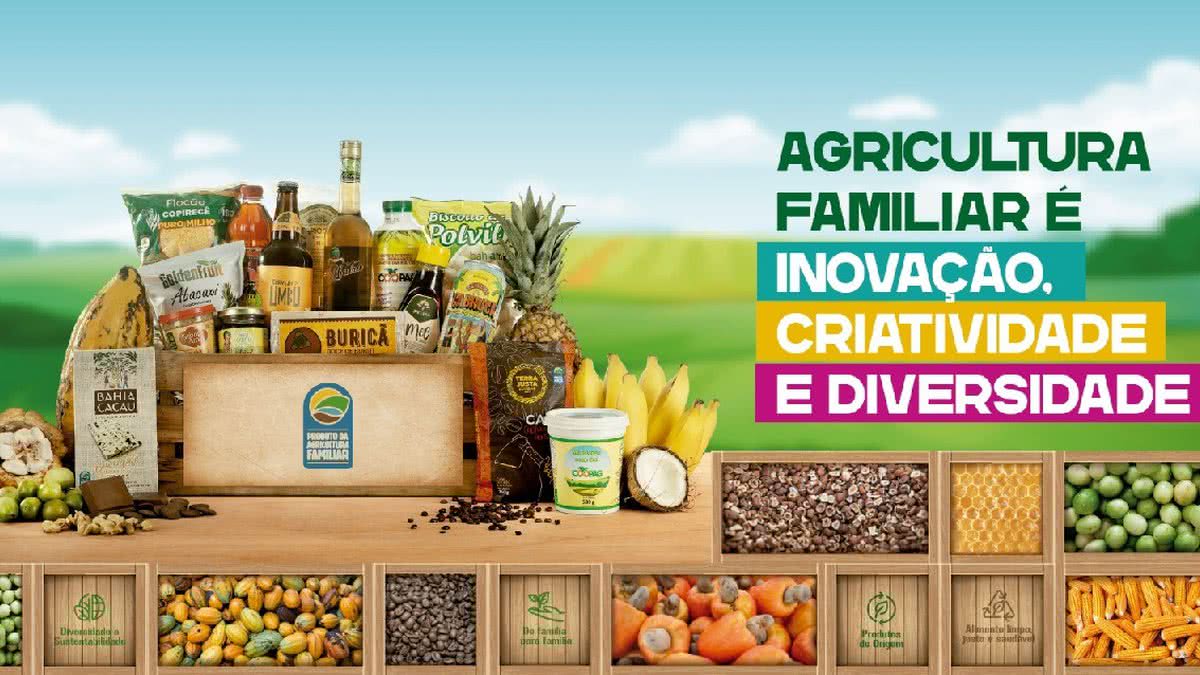 Bahia Farm Show 2023 contará com novidades da agricultura familiar