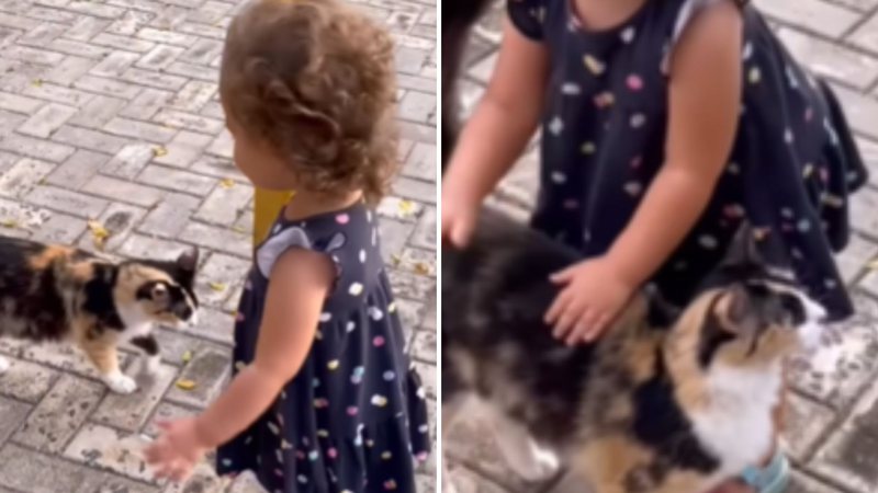 Momento Fofura Criança Encontra Gatinha Na Rua E Tem Reação Adorável Assista 6254