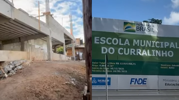 Reprodução