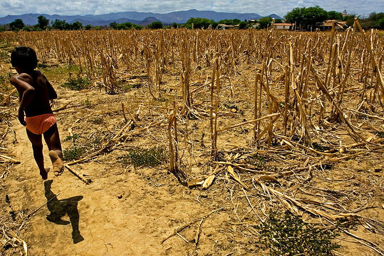 Mais Cinco Cidades Baianas Entram Em Situação De Emergência 