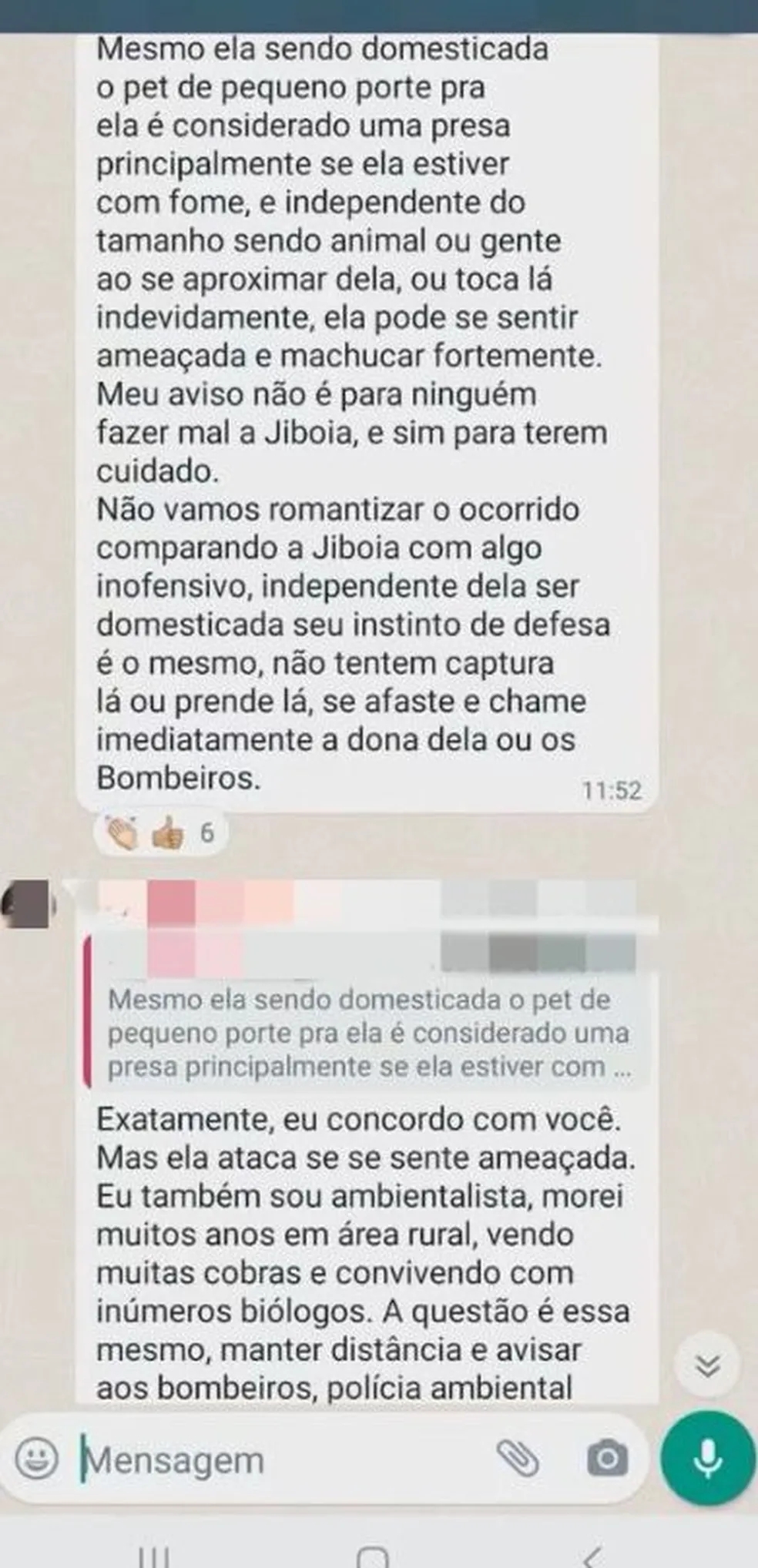 Cobra de estimação foge de apartamento e causa alvoroço entre moradores